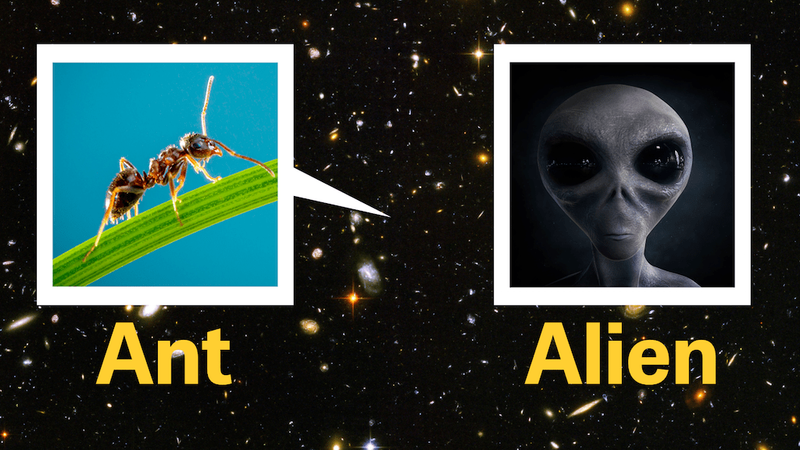 Ant vs. Alien